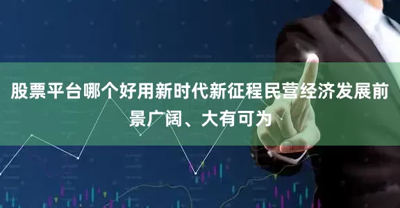 股票平台哪个好用新时代新征程民营经济发展前景广阔、大有可为
