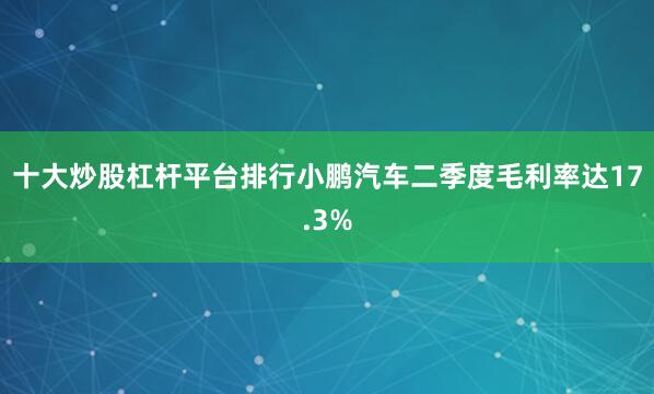 十大炒股杠杆平台排行小鹏汽车二季度毛利率达17.3%